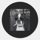 Recherche de fumée autocollants Chien