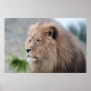 Recherche de roi des bêtes posters Majestueux