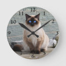 Recherche de yeux bleus horloges Animal