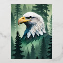 Recherche de aigle chauve cartes postales Illustration
