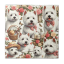 Recherche de westie carreaux West highland white terrier