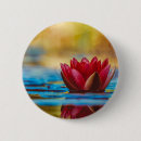Recherche de etangs badges Photographie