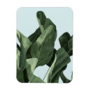 Recherche de palm refrigérateur magnets Botanique