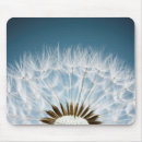 Recherche de graine tapis souris Pissenlit