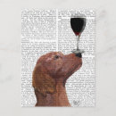 Recherche de setter cartes postales Rousseur