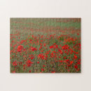 Recherche de coquelicots puzzles Rouge