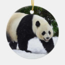 Recherche de zoo ornements Neige