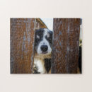 Recherche de chien blanc puzzles Adorable