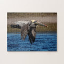 Recherche de pelican puzzles Animal