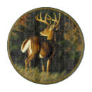 Recherche de chasse planches à découper Cerf de virginie