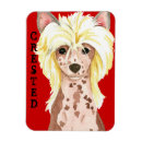 Recherche de chinois magnets Chien