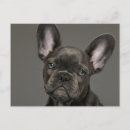 Recherche de bouledogue francais cartes postales Canin
