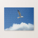 Recherche de volant puzzles Mouette