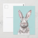 Recherche de lapin cartes postales Faune