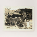 Recherche de zèbre puzzles Animal