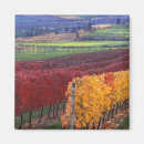 Recherche de vignoble magnets Pays viticole