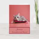 Recherche de blanche de chat vœux cartes Mignon