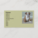 Recherche de bouledogue anglais cartes visite Chiot