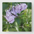 Recherche de lilas horloges Pour tous