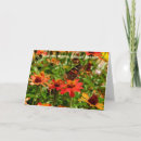 Recherche de étonné vœux cartes Pour elle