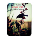 Recherche de oisseaux magnets Faune