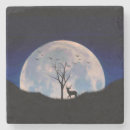 Recherche de buck dessous de verres Pleine lune