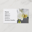 Recherche de orchidée blanche cartes visite Nature