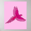 Recherche de amazone posters Perroquet