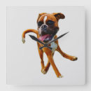 Recherche de boxer horloges Chiot