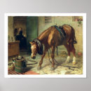 Recherche de cheval harnais posters Chevaux