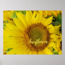 Recherche de color photography posters Flower
