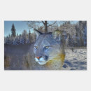 Recherche de panthère photographie Photographie de la faune