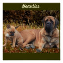 Recherche de doge vœux cartes Chien