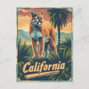 Recherche de cougar cartes postales Lion de montagne