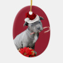 Recherche de puits ornements Noël