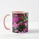 Recherche de oeillet rose tasses Carnation