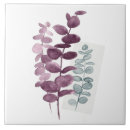 Recherche de eucalyptus carreaux Plante