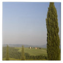 Recherche de pienza carreaux Paysage