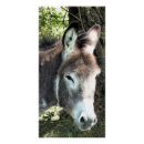 Recherche de donkey posters Âne