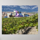 Recherche de basque art Pays