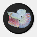 Recherche de combat magnets Faune
