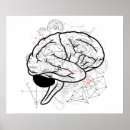Recherche de anatomie humaine posters Cerveau