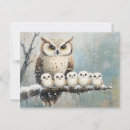 Recherche de famille de hibou cartes postales Chouette
