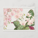 Recherche de phalaenopsis cartes postales Floral