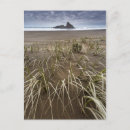 Recherche de new zealand cartes postales Beach