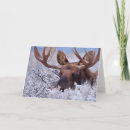 Recherche de jackson vœux cartes Neige