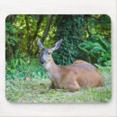 Recherche de se reposer tapis souris Photographie