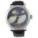 Recherche de puffin watches Oiseau