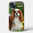 Recherche de cavalier king charles spaniels électronique Animal