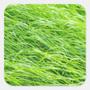 Recherche de herbe verte autocollants Frais